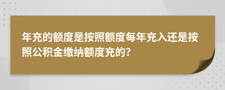 年充的额度是按照额度每年充入还是按照公积金缴纳额度充的？