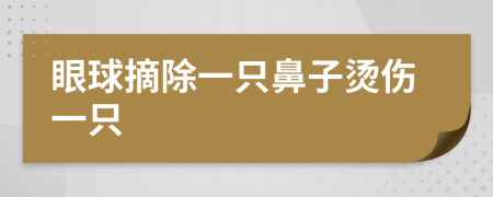 眼球摘除一只鼻子烫伤一只