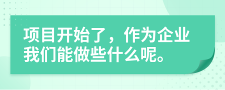 项目开始了，作为企业我们能做些什么呢。