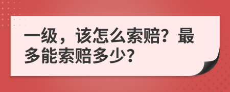 一级，该怎么索赔？最多能索赔多少？