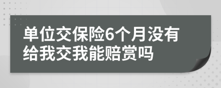 单位交保险6个月没有给我交我能赔赏吗