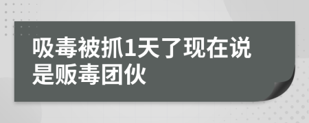 吸毒被抓1天了现在说是贩毒团伙