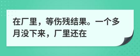 在厂里，等伤残结果。一个多月没下来，厂里还在