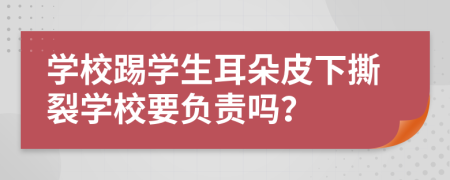 学校踢学生耳朵皮下撕裂学校要负责吗？