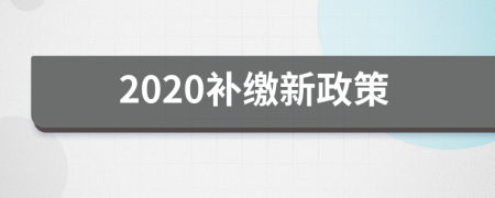 2020补缴新政策