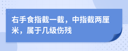 右手食指截一截，中指截两厘米，属于几级伤残