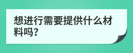想进行需要提供什么材料吗？