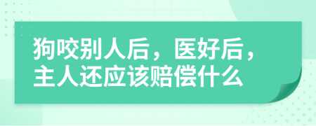 狗咬别人后，医好后，主人还应该赔偿什么