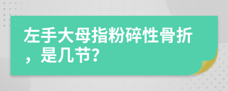 左手大母指粉碎性骨折，是几节？