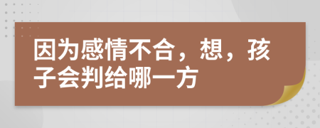 因为感情不合，想，孩子会判给哪一方