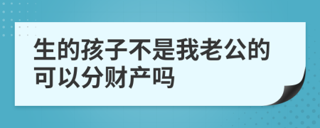 生的孩子不是我老公的可以分财产吗