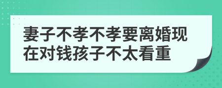 妻子不孝不孝要离婚现在对钱孩子不太看重