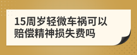 15周岁轻微车祸可以赔偿精神损失费吗