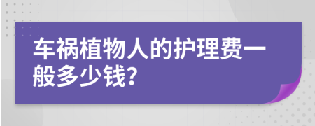 车祸植物人的护理费一般多少钱？