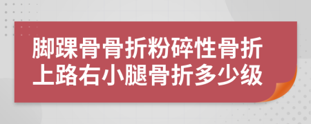 脚踝骨骨折粉碎性骨折上路右小腿骨折多少级