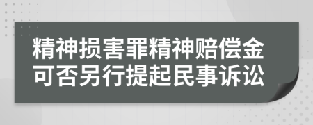 精神损害罪精神赔偿金可否另行提起民事诉讼