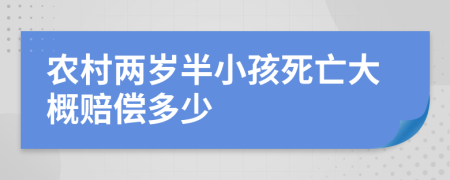 农村两岁半小孩死亡大概赔偿多少