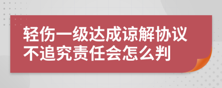 轻伤一级达成谅解协议不追究责任会怎么判