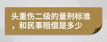 头重伤二级的量刑标准，和民事赔偿是多少