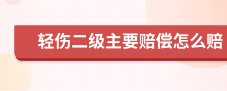 轻伤二级主要赔偿怎么赔