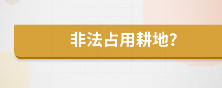 非法占用耕地？