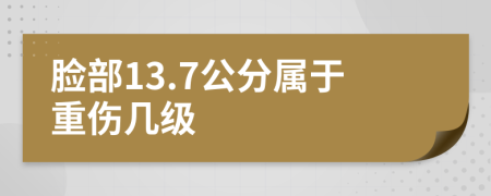 脸部13.7公分属于重伤几级