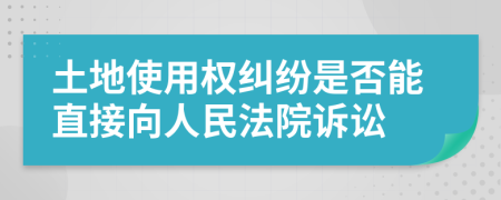 土地使用权纠纷是否能直接向人民法院诉讼