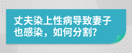 丈夫染上性病导致妻子也感染，如何分割？