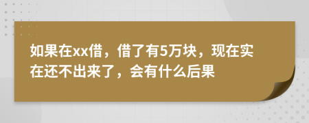 如果在xx借，借了有5万块，现在实在还不出来了，会有什么后果
