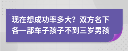 现在想成功率多大？双方名下各一部车子孩子不到三岁男孩