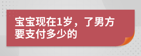 宝宝现在1岁，了男方要支付多少的