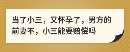 当了小三，又怀孕了，男方的前妻不，小三能要赔偿吗