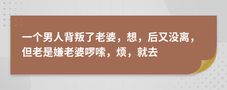 一个男人背叛了老婆，想，后又没离，但老是嫌老婆啰嗦，烦，就去