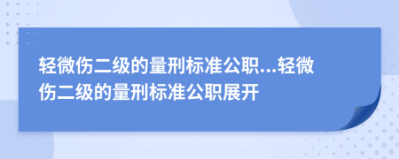 轻微伤二级的量刑标准公职...轻微伤二级的量刑标准公职展开