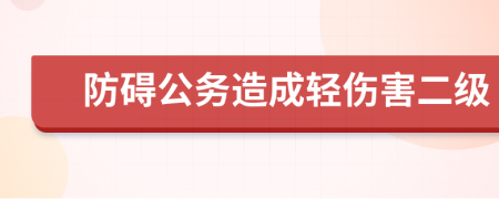 防碍公务造成轻伤害二级