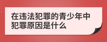 在违法犯罪的青少年中犯罪原因是什么