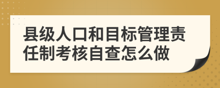 县级人口和目标管理责任制考核自查怎么做