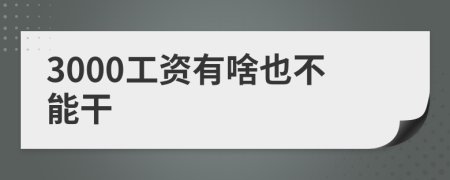 3000工资有啥也不能干