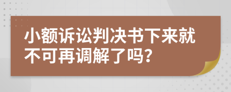 小额诉讼判决书下来就不可再调解了吗？