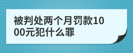 被判处两个月罚款1000元犯什么罪