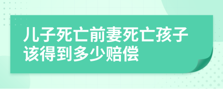 儿子死亡前妻死亡孩子该得到多少赔偿