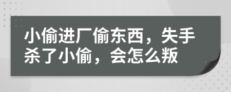 小偷进厂偷东西，失手杀了小偷，会怎么叛