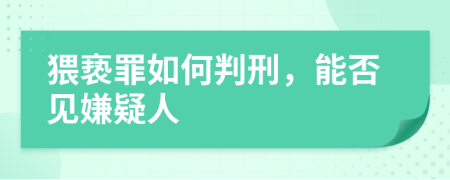 猥亵罪如何判刑，能否见嫌疑人