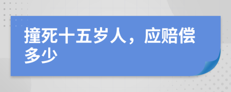 撞死十五岁人，应赔偿多少
