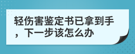 轻伤害鉴定书已拿到手，下一步该怎么办