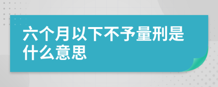 六个月以下不予量刑是什么意思