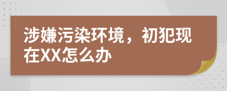 涉嫌污染环境，初犯现在XX怎么办