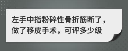 左手中指粉碎性骨折筋断了，做了移皮手术，可评多少级