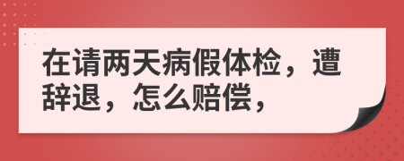 在请两天病假体检，遭辞退，怎么赔偿，
