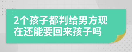 2个孩子都判给男方现在还能要回来孩子吗